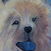 webChow Chow