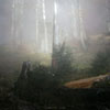 10GabiWeilbach